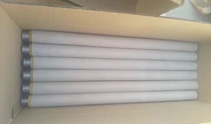 六支装在保护管中的浸入式取样器组件,置于打开的纸箱中